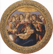 Sandro Botticelli Madonna and Child with six Angels or Madonna of the Pomegranate (mk36) oil painting reproduction